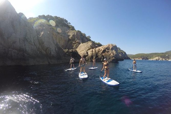 Ibiza Morning Paddle Board Tour - Health and Accessibility
