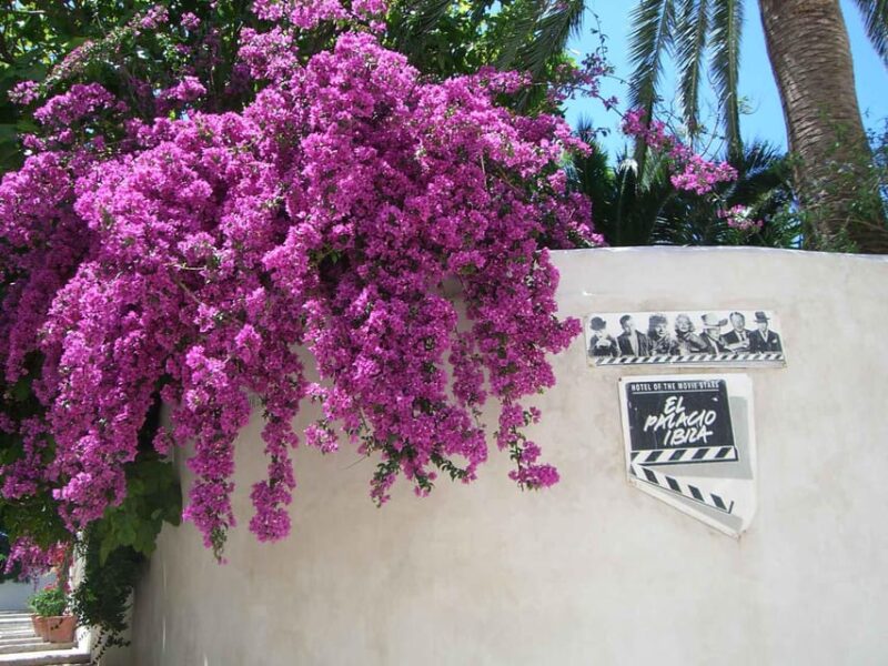 IBIZA : Old Town Guided Tour With a Local - Inclusions