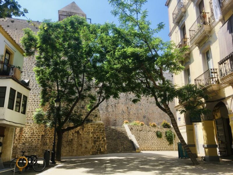 Ibiza: Old Town Guided Walking Tour - Inclusions