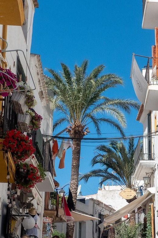 Ibiza Old Town Private Guided Walking Tour - Reservation Details