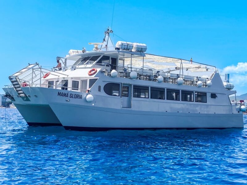 Ibiza: Premium Party on VIP Catamaran With DJS and Disco Entrance - Additional Benefits and Perks