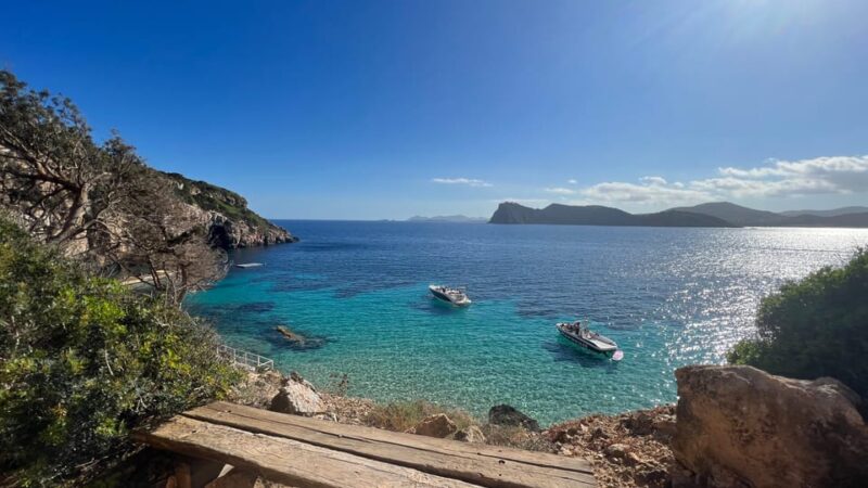 Ibiza: Private Boat Trip With Paddle Surfing and Snorkelling - Key Points