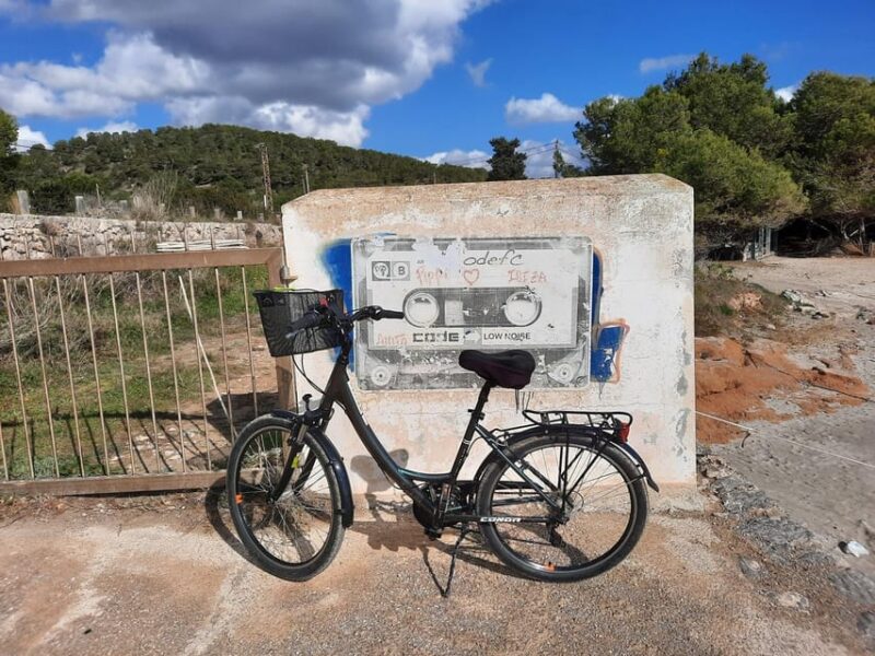 Ibiza: Salines Bike Tour to See Flamingos and Salt - Key Points