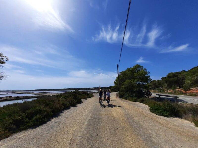 Ibiza: Salines Bike Tour to See Flamingos and Salt - Experiencing the Salines Bike Tour: Key Details