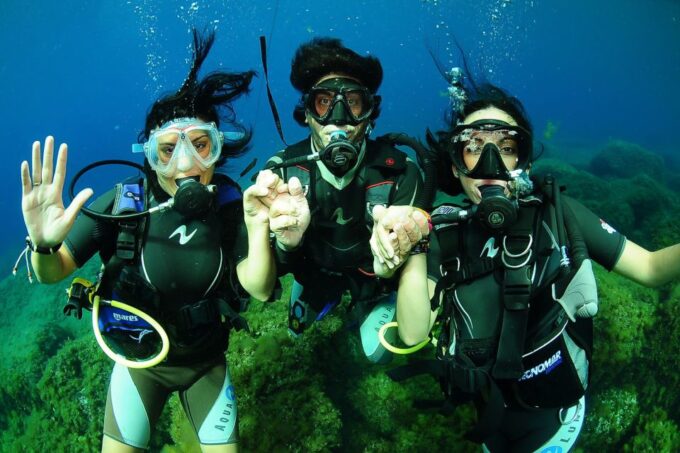 Ibiza Scuba Diving for Beginners and Snorkeling - Marine Life Sightings