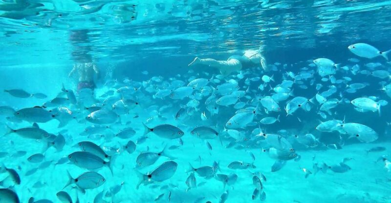 Ibiza: Snorkeling and SUP Paddle, Beach and Cave Boat Tour - Key Points