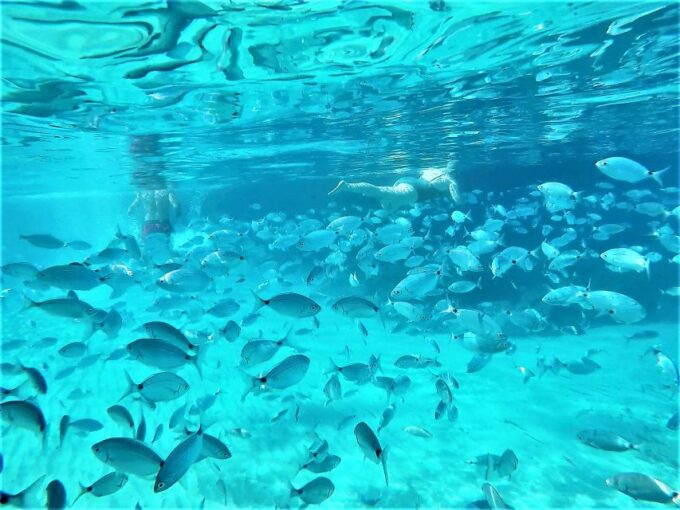 Ibiza: Snorkeling and SUP Paddle, Beach and Cave Boat Tour - Frequently Asked Questions