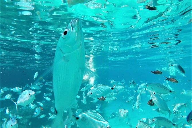 Ibiza Snorkeling Beach and Cave Cruise Tour - Cancellation Policy