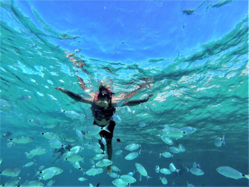Ibiza: Snorkeling, Sunset Beach and Cave Boat Trip - Key Points