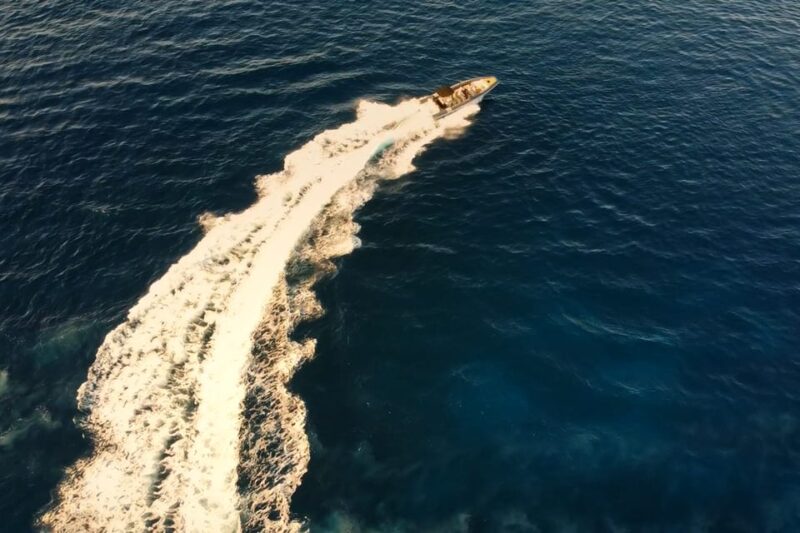 Ibiza: Speedboat Tour to Illetes, Formentera - Experience Highlights