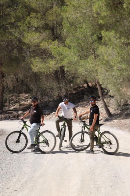 Ibiza: Town Bike Excursion - Key Points