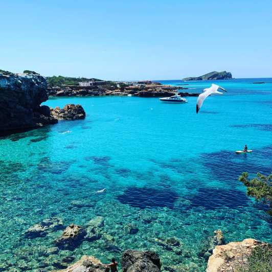 Ibiza: West Coat Boat Trip With Drinks - Key Points