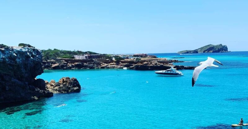 Ibiza: West Coat Boat Trip With Drinks - Highlights of the Experience