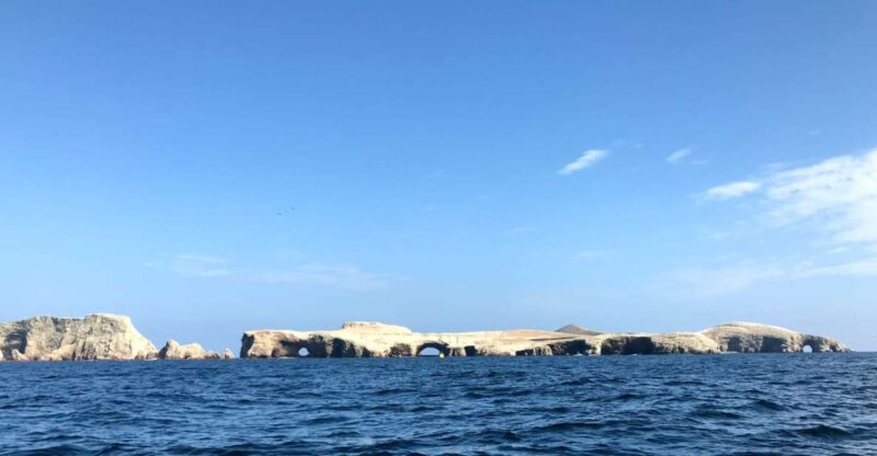 Ica: Ballestas Island & Paracas Reserve Private Tour - Key Points