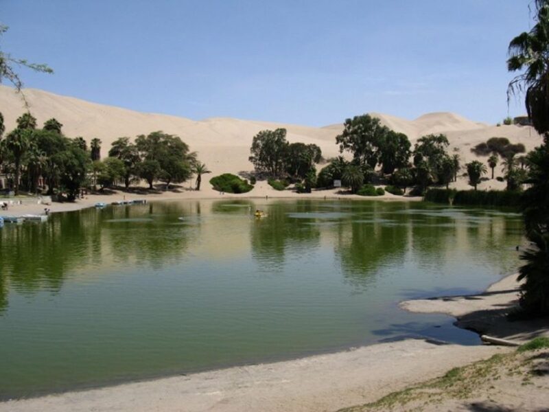 Ica: Bus Station Transfer To/From City Center or Huacachina - Cancellation Policy