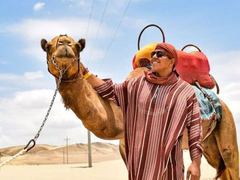 Ica: Dromedaries | Swimming Pool, Games, Mini-Farm | - Itinerary