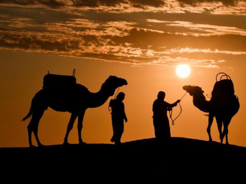 Ica: Dromedaries | Swimming Pool, Games, Mini-Farm | - Highlights and Experience