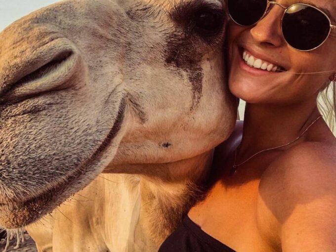 Ica: Dromedaries | Swimming Pool, Games, Mini-Farm | - Booking and Cancellation