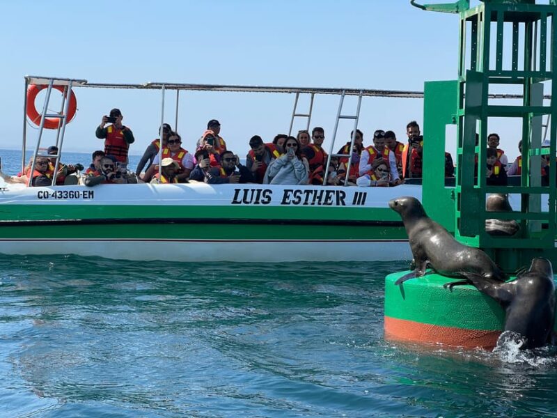 ICA HUACACHINA, PARACAS AND VINEYARDS. TOUR IN PRIVATE VEHICLE AT YOUR OWN TIME. - Tour Features