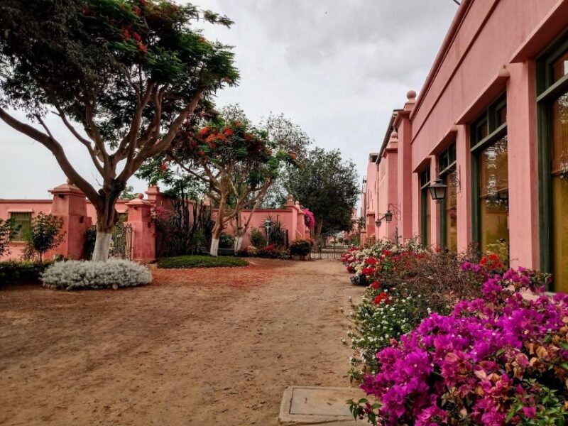 Ica || Pisco and Wine Tour With Desert Trip - Key Points