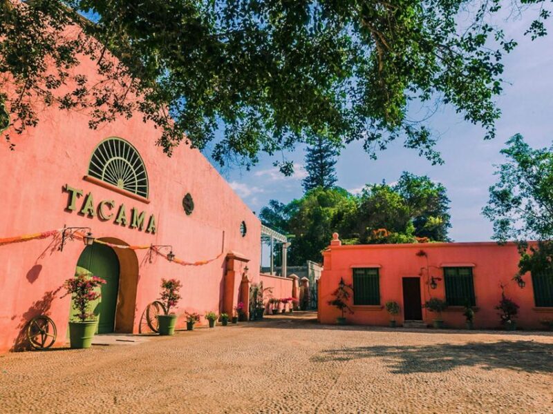 Ica: Pisco Route | Tacama, Arrabal, Bodega Lovera | - Important Information