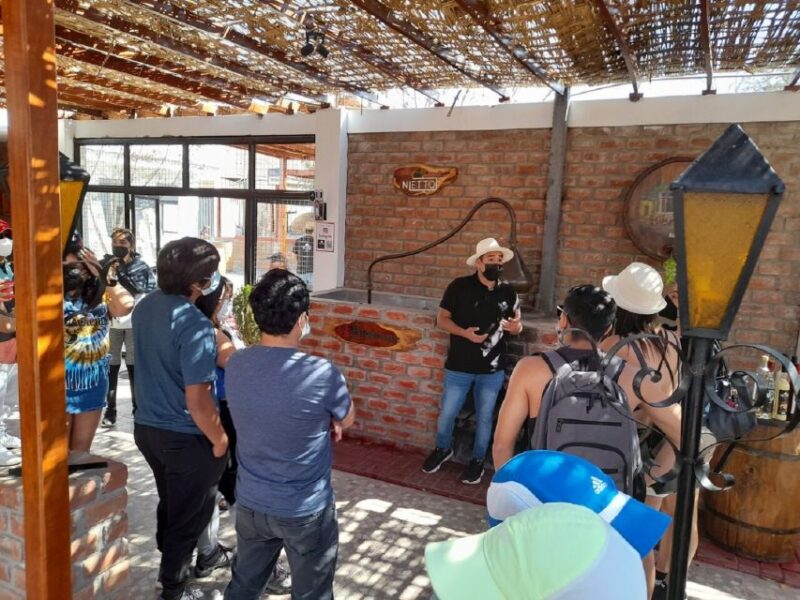 Ica: Pisco Wineries and Vineyards Day Tour - Key Points