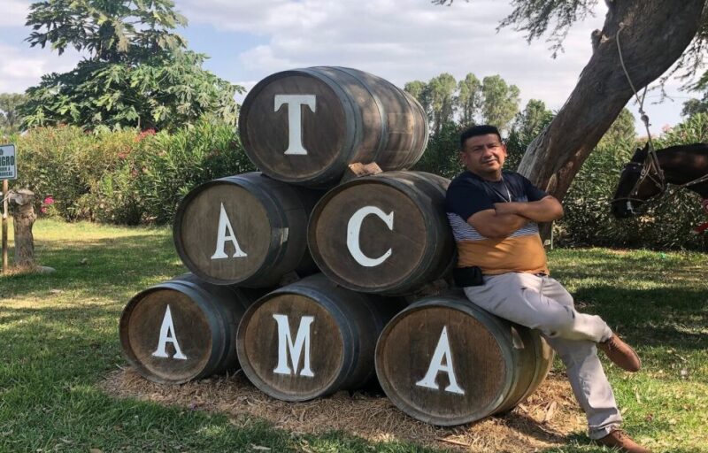 Ica: Pisco Wineries and Vineyards Day Tour - Wineries and Vineyards Explored