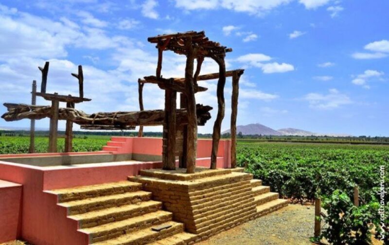 Ica: Pisco Wineries and Vineyards Day Tour - Museum and Cultural Artifacts