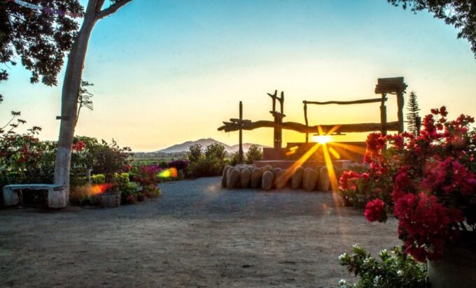 Ica: Pisco Wineries and Vineyards Day Tour - Frequently Asked Questions