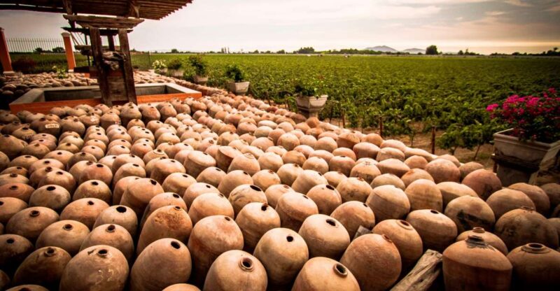 Ica: Private City Tour & Wine Tasting - Tour Inclusions