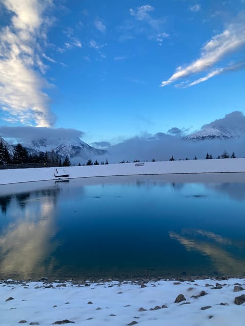 Ice Bathing in the Mountain Lake - Inclusions