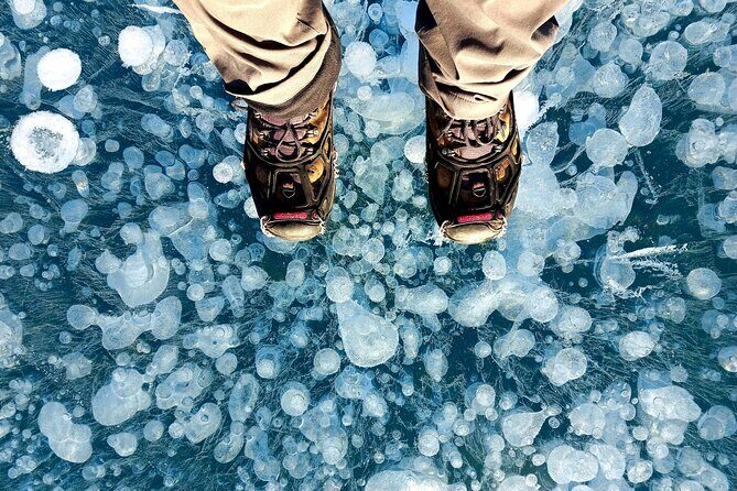 Ice Bubble Adventure on Abraham Lake - Experience Overview and Itinerary