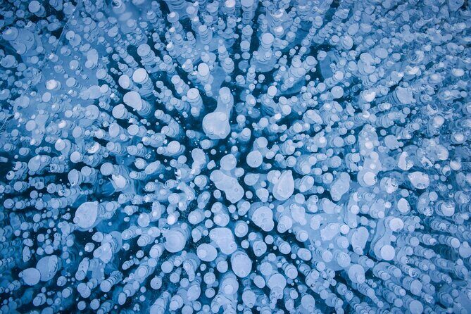 Ice Bubble Adventure on Abraham Lake - The Value of the Experience