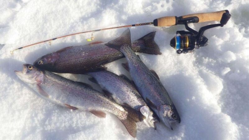 Ice Fishing Adventure in Levi With Salmon Soup - Ice Fishing Techniques