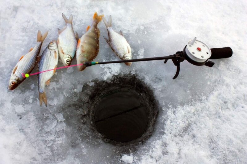 Ice Fishing Adventure in Levi With Salmon Soup - Included Amenities