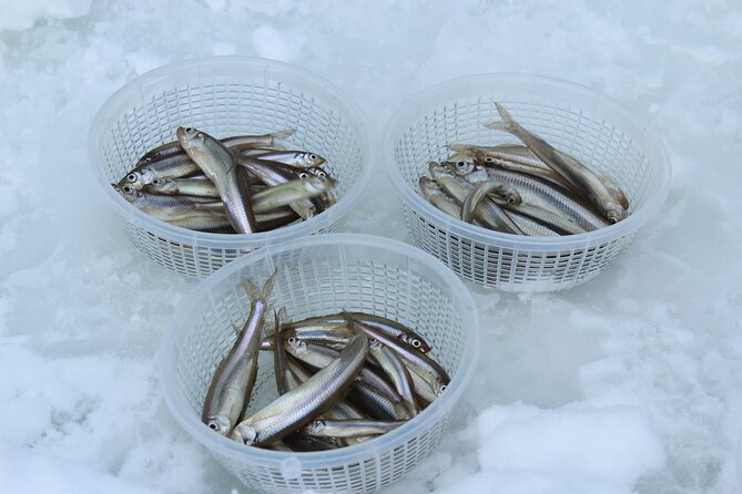 Ice Fishing Experience Eat Fresh Fish Tempura at Lake Abashiri - Exclusions