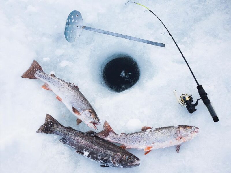 ICE FISHING Experience - Customer Feedback