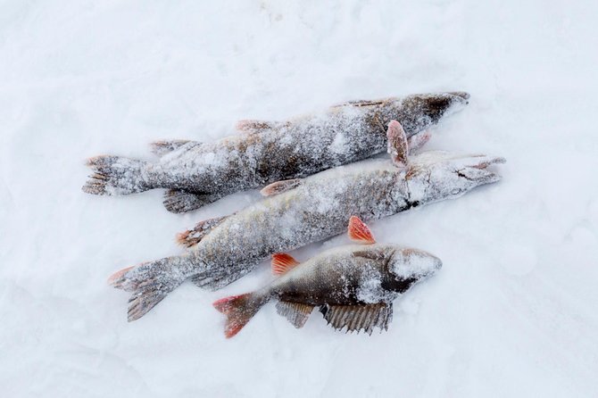 Ice Fishing From Rovaniemi - Preparing for the Tour