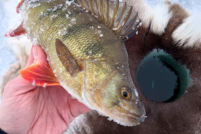Ice Fishing Trip at Lake Inari - Amenities and Additional Information