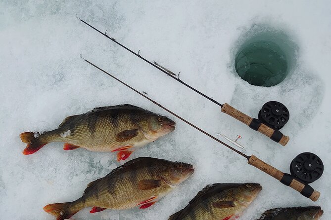 Ice Fishing Trip at Lake Inari - Reviews and Feedback
