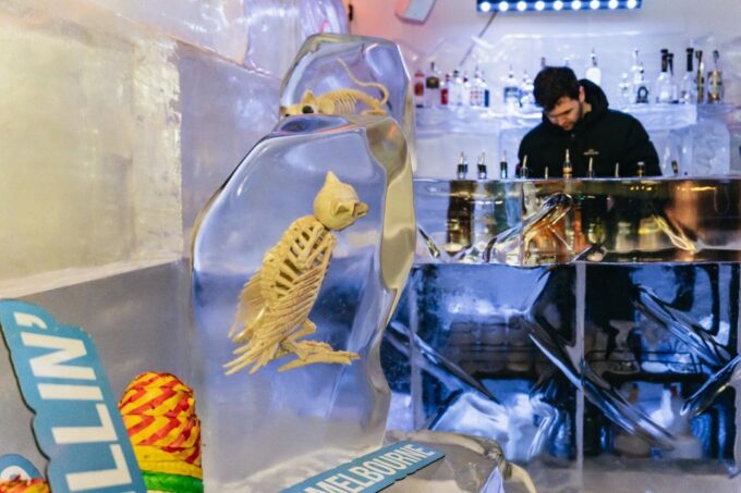 IceBar Melbourne: Entry Package - Unique Highlights and Features