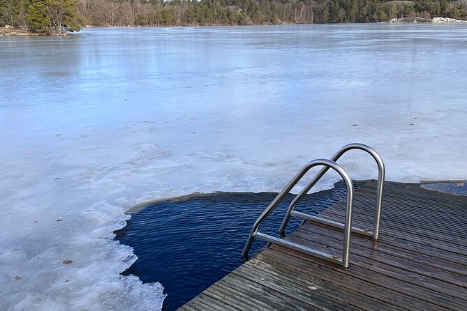 Icebathing and Sauna With Forest Hike in Stockholm - Private - Customer Reviews Highlights