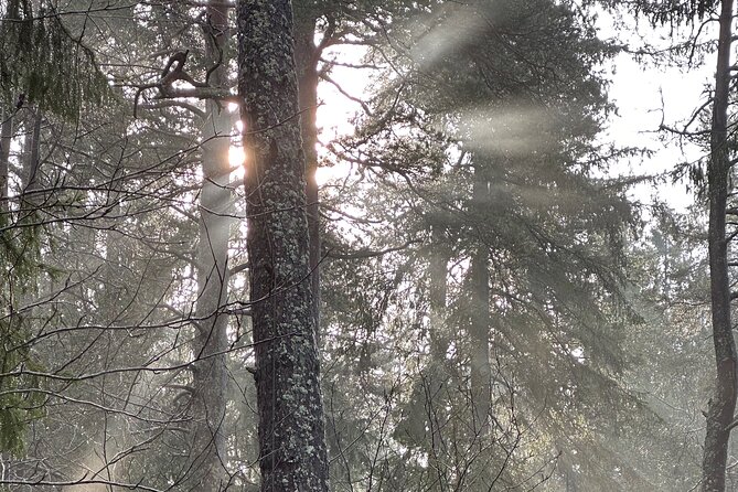 Icebathing and Sauna With Forest Hike in Stockholm - Private - Preparing for the Icebathing and Sauna