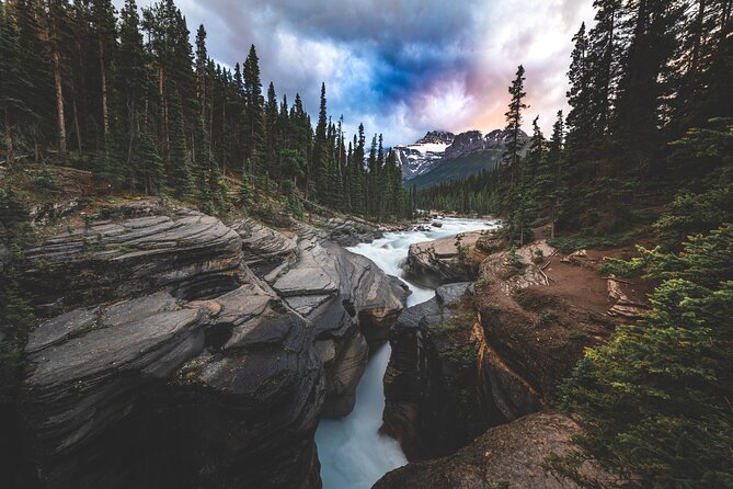 Icefields Parkway Highlights & Secrets | Award-Winning Adventure - Upscale and Spacious Transportation With Amenities