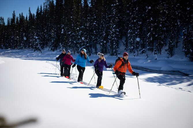 Icefields Parkway & Ice Bubbles of Abraham Lake Adventure - Meeting Details
