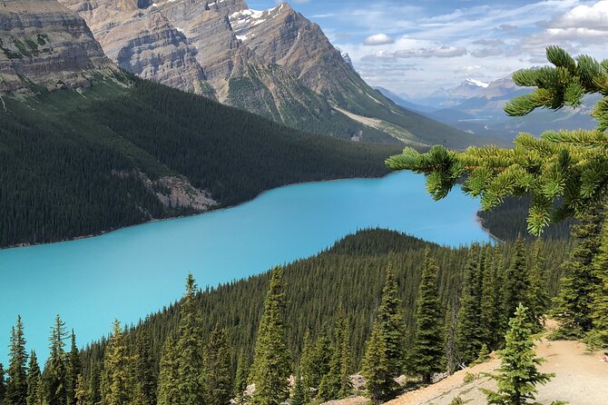 Icefields Pkwy: Lake Louise | Bow Lake | Peyto Lake | Glacier - PRIVATE DAY TOUR - Meeting and Pickup