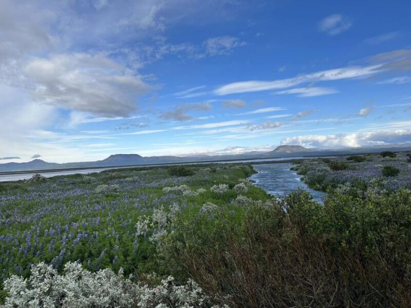 Iceland Atv. Atv Guided Trip Close to Dettifoss Iceland - Participant Eligibility