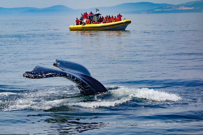 Iceland: See & Experience It ALL in 9 Days, 1st Class Custom Tours - Exclusions and Restrictions