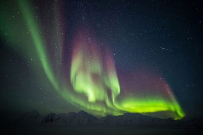 Iceland: South Coast and Northern Lights Tour - Northern Lights Adventure