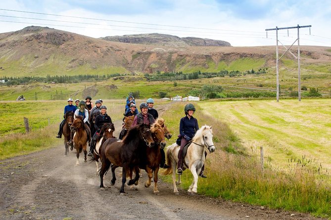 Icelandic Horse Riding and Whale Watching Cruise From Reykjavík - Details of the Horse Riding